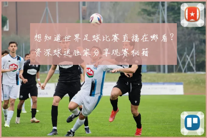 想知道世界足球比赛直播在哪看?资深球迷独家分享观赛秘籍
